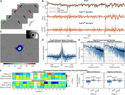 Brain Networks Underlying Eye’s Pupil Dynamics